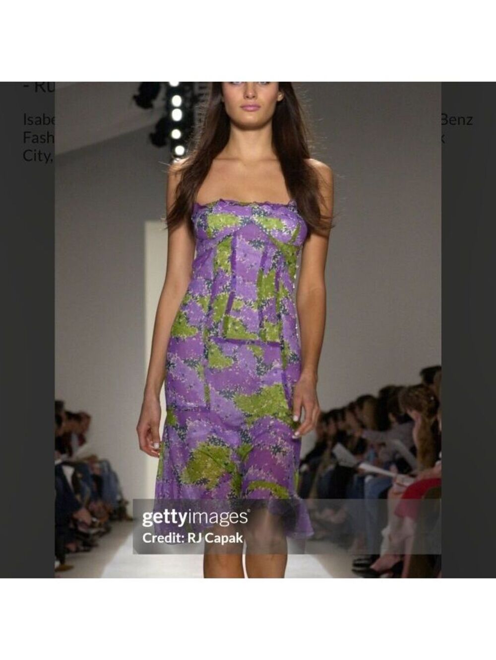 Tuleh Runway Vintage Floral Silk Purple Green Dress Size S